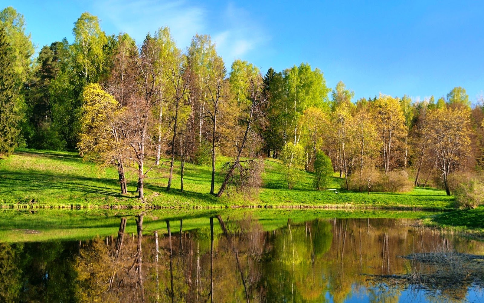 Прекрасная экология и развитая инфраструктура